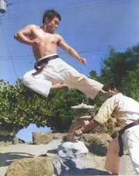 Image result for Charnwood Shoto Ryu Karate kai