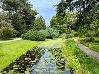 Image result for Arboretum Trompenburg
