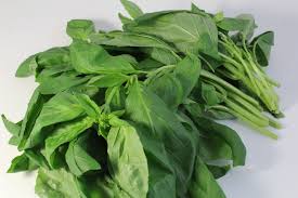 Image result for Basilikum