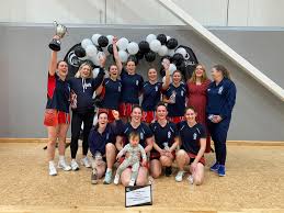 Image result for Hn Ladies Netball Club