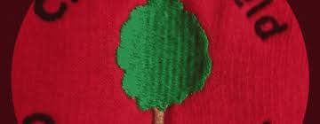 Image result for Chipperfield Corinthians Football Club