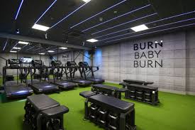 Image result for Village Gym Basingstoke