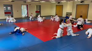 Image result for Beverley Haltemprice Judo Club