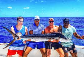 Image result for Kajikia albida