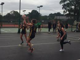Image result for Oxshott Netball Club
