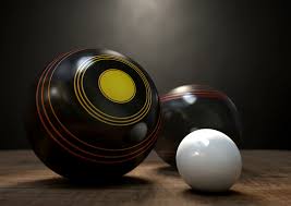 Image result for West Berks Indoor Bowls Association Ltd