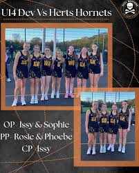 Image result for Leighton Buzzard (Beds) Netball Club