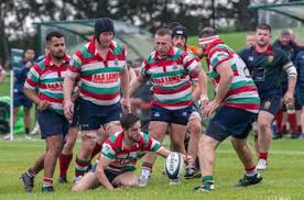 Image result for Lutterworth Rfc