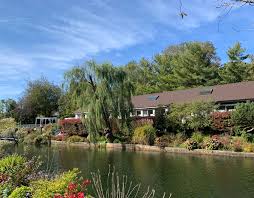 Image result for Leatherhead Swans Club