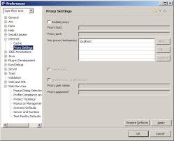 Image result for eclipse preference dialog
