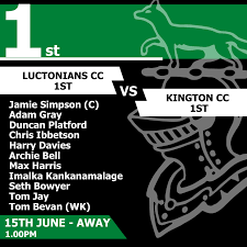 Image result for Luctonians Cricket Club