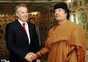 Tal der weisen N
arren • Terr ...