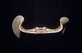 Image result for Raja undulata