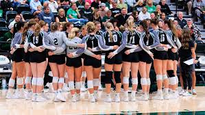 Image result for White Eagles Volleyball Club