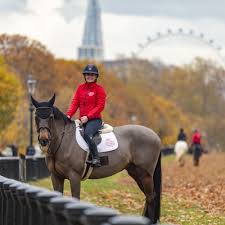 Image result for Weybridge Equestrian Centre