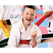 Image result for GKR KARATE - ESSEX & SUFFOLK
