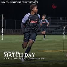 Image result for Ukc Falcons