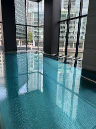 Image result for City Of Milton Keynes Swimming Club