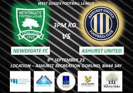 Image result for Newdigate F C