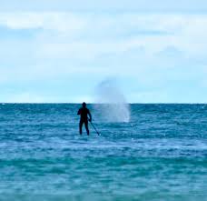 Image result for Lincolnshire Surf Club