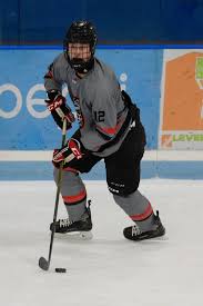 Image result for Pontypool Skater Hockey Club