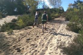 Image result for Elstead Badminton Club