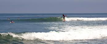 Image result for Scarborough Malibu Surf Club