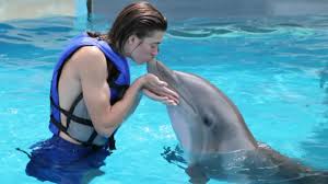 Image result for Gosport Dolphins Swimming Club