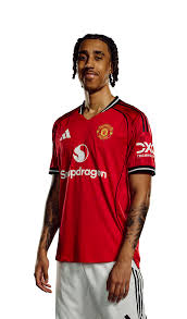 Image result for Manunitid