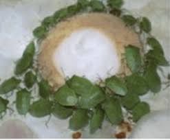 Attēlu rezultāti vaicājumam “Orthezia urticae”