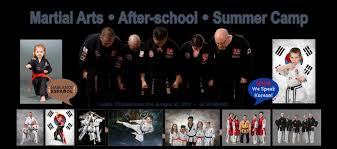Image result for Springwood Karate