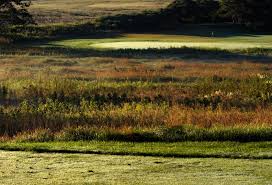 Image result for Warkworth Golf Club