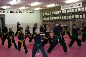 Image result for Cobra Karate Club