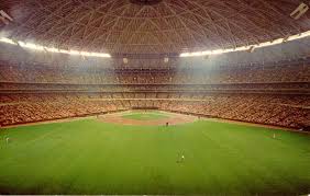 Image result for Astroturf