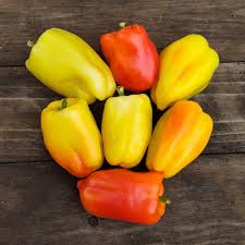 Afbeeldingsresultaat voor topepo giallo sweet pepper