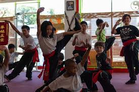 Image result for kung fu