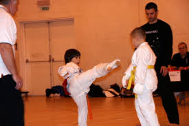 Image result for Kenshukai Karate