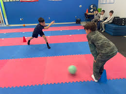 Image result for David Fuller Karate