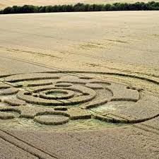 Image result for crop circles