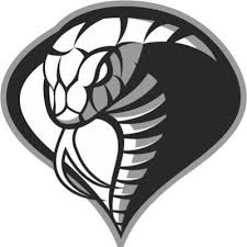 Image result for Cheltenham Cobras Volleyball Club