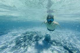 Image result for Aquanauts Dive Centre Sunderland