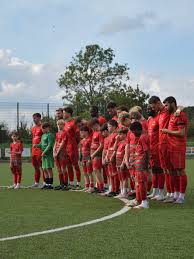 Image result for Egham Town Fc