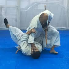 Image result for Ellis Schools of Traditional Aikido