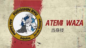 Image result for Goshin Ryu Atemi JuJitsu