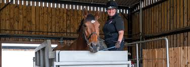 Image result for Cambridge University Riding Club