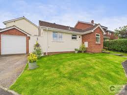 Image result for Ipplepen Bowling Club