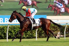 Image result for Purton Bowls Club