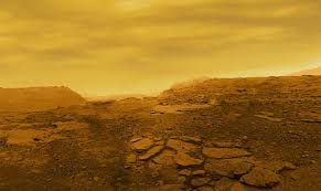 Image result for venus