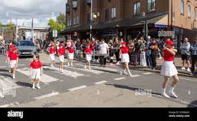Image result for Wickford Majorettes