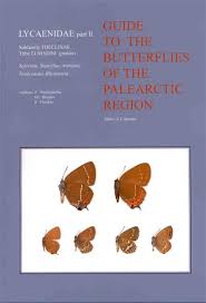 Attēlu rezultāti vaicājumam “Theclinae”